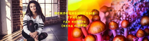 кокс Верея